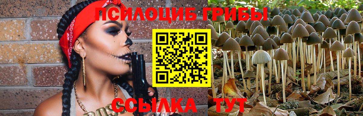 Псилоцибиновые грибы мухоморы Ейск